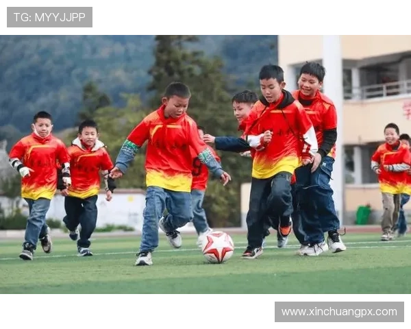 黔西地区足球明星的代表人物及其成就盘点